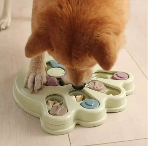 SmartBowl®: El Comedero Interactivo que Cuida a tu Mascota 🍽️🐾