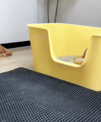 NO+ARENA®: Tapete Arenero