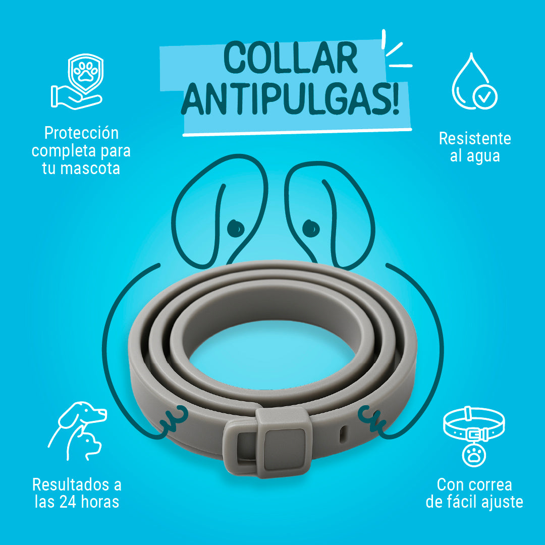NO+PULGAS®