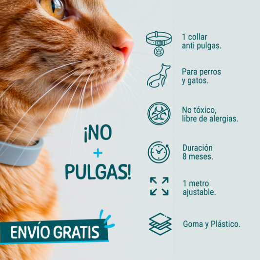 NO+PULGAS®