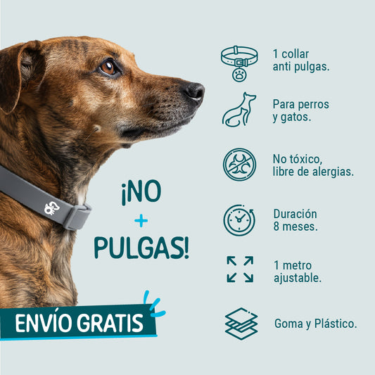 NO+PULGAS®