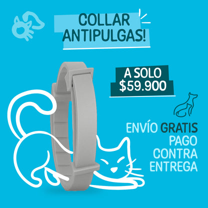 NO+PULGAS®
