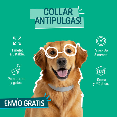 NO+PULGAS®